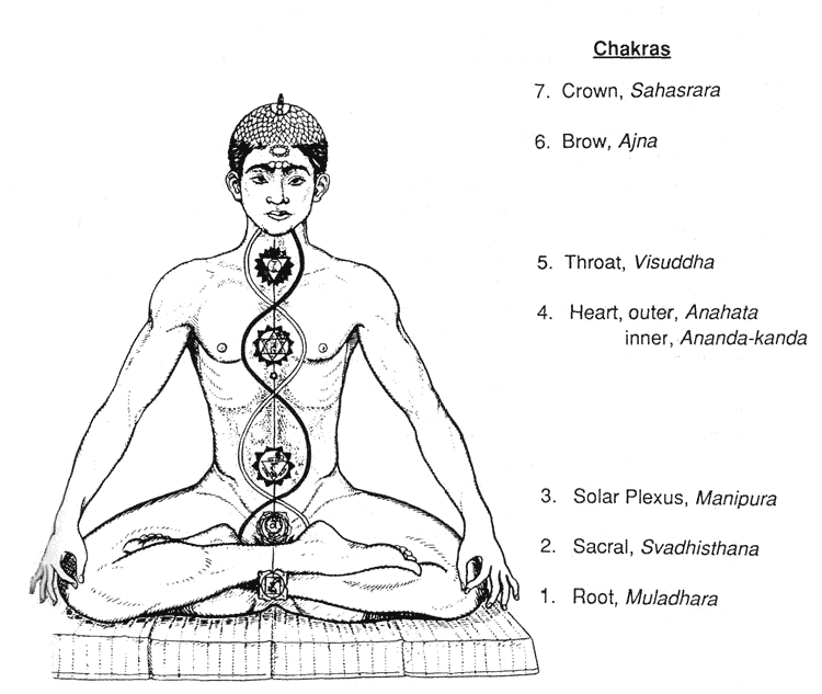 parts of flower diagram. Diagram 3