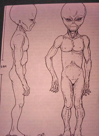 http://www.bibliotecapleyades.net/imagenes/montauk_alien_3.JPG