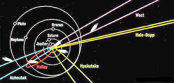 the types of orbits shared
