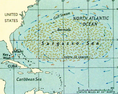 bermuda_sargasso.jpg