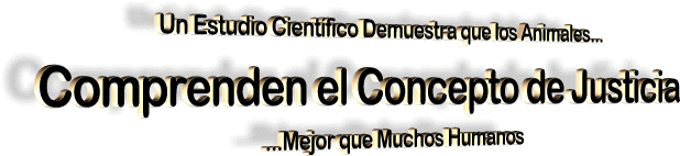 ciencia_consciousscience09.gif