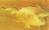 6 circulos_cosechas_124.jpg