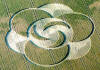 9 circulos_cosechas_127.jpg