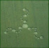 6 circulos_cosechas_134.jpg