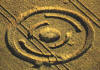 7 circulos_cosechas_135.jpg