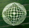 2 circulos_cosechas_110.jpg