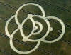 5 circulos_cosechas_113.jpg