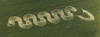 1 circulos_cosechas_139.jpg