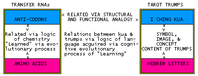 tRNA and Atu analogy