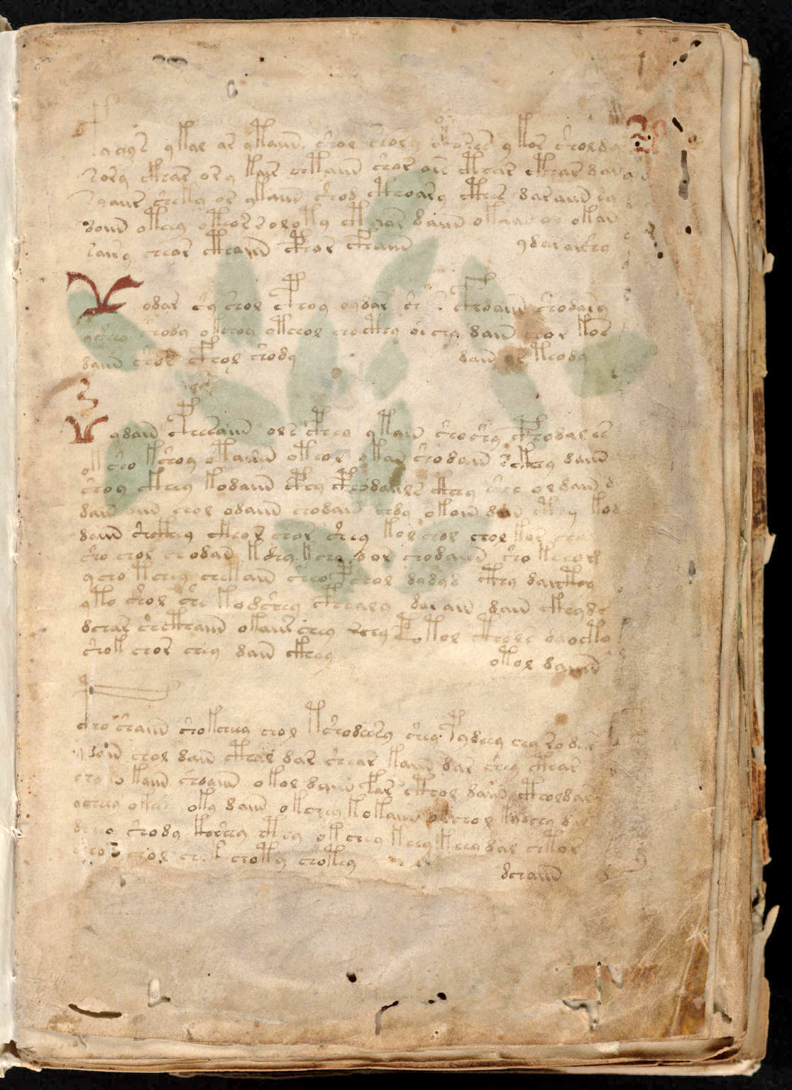 The Voynich Manuscript Extraterrestrial Contact During