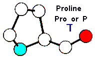 Amino Acid Proline and Hebrew letter Daleth