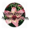 Back to Articles