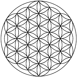 Image result for flower of life