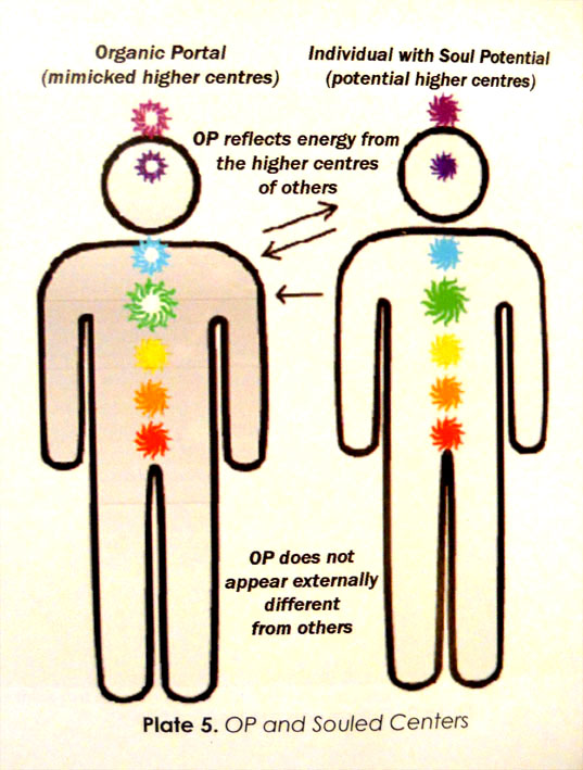 organic_portals10_03.jpg