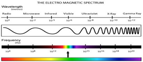 consciousscience26_04.jpg