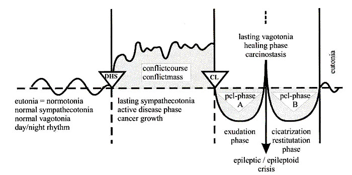 Dr Hamer Disease Chart