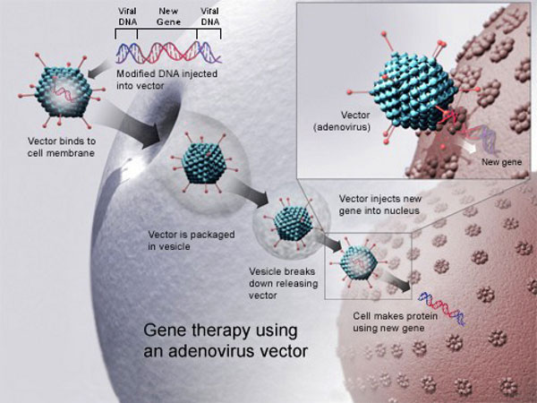 Vaccination Agenda - An Implicit Transhumanism/Dehumanism