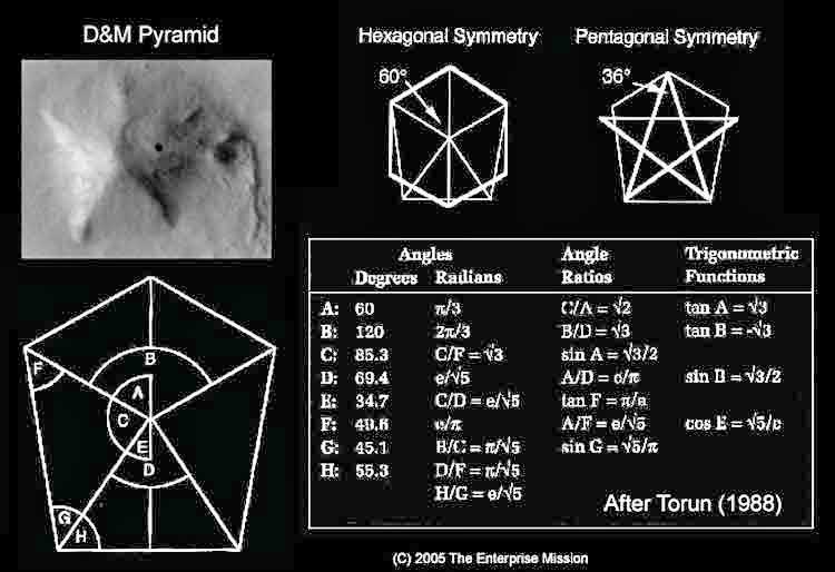 lunaiapetus_149.jpg