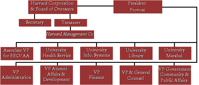 Cambridge University Organisational Chart