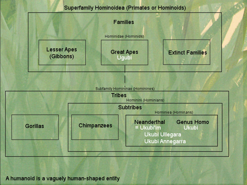 Taxonomy